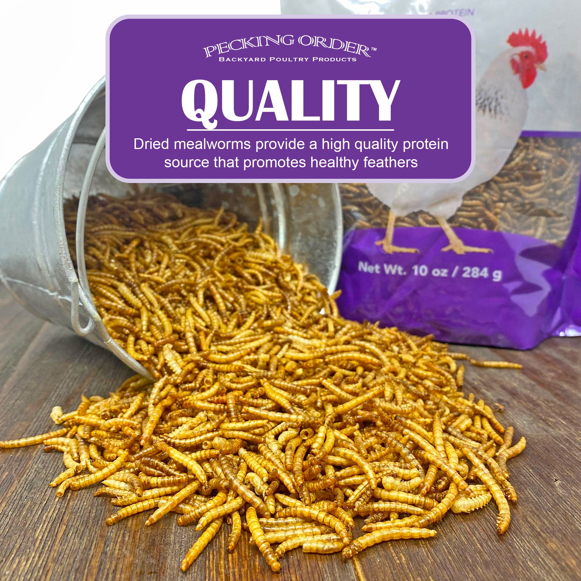 (3 pack) Pecking Order Dried Mealworms Backyard Chicken Treat, 5 lb. Poultry Feed & Treat. Value Size!
