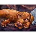thumbnail image 3 of Townsend, Connie R. 14x12 Black Modern Framed Museum Art Print Titled - Beauty Rest, 3 of 5