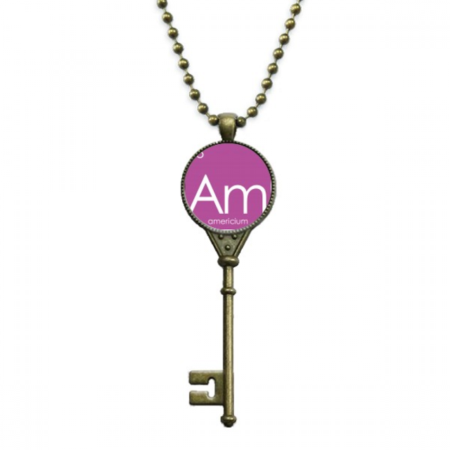 Chestry Elements Period Table Actinide Americium Am Key Necklace Pendant Tray Embellished Chain