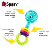 Sassy Shake Rattle & Roll Gift Set