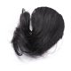 thumbnail image 5 of WASHWEPE 1Ud Flequillo De Sintético Negro Con Clip Para Eventos Y Cambio De Estilo, 5 of 5
