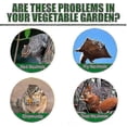 thumbnail image 2 of Mint Squirrel Repellent 12 Pack Safe for Bird Feeders Outdoor, 2 of 4