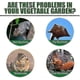 thumbnail image 2 of Mint Squirrel Repellent 12 Pack Safe for Bird Feeders Outdoor, 2 of 4