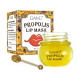 Bee Balm Lip Balm Honey Pot,Propolis Moisturizing Honey Lip Mask Lip