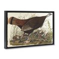 thumbnail image 4 of Stupell Industries Classic Great American Hen Animals Painting Black Floater Framed Canvas Art Print Wall Art, 31 x 21, 4 of 10
