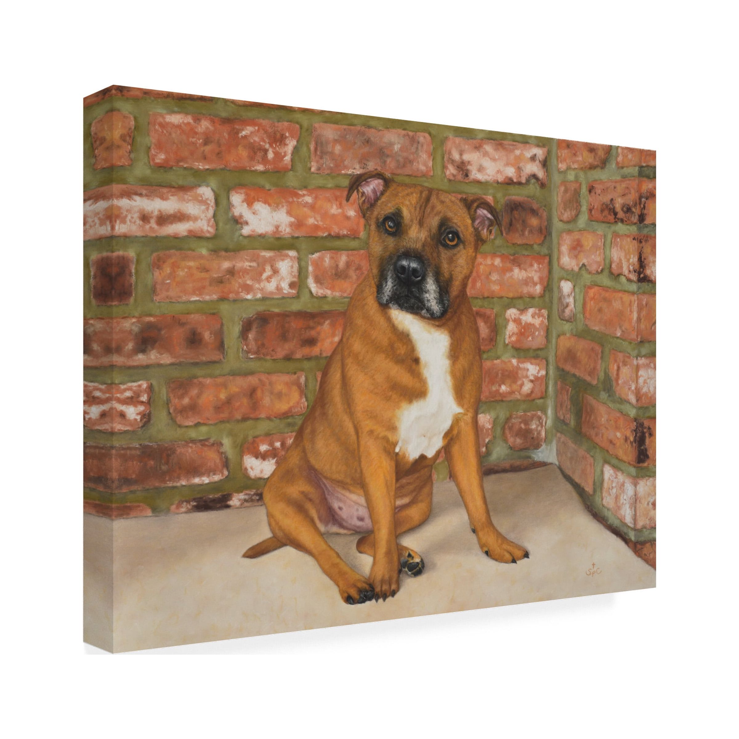 Steve Crockett 'Pet Portrait Of Troy The Staffordshire Bull Terrier' Canvas Art