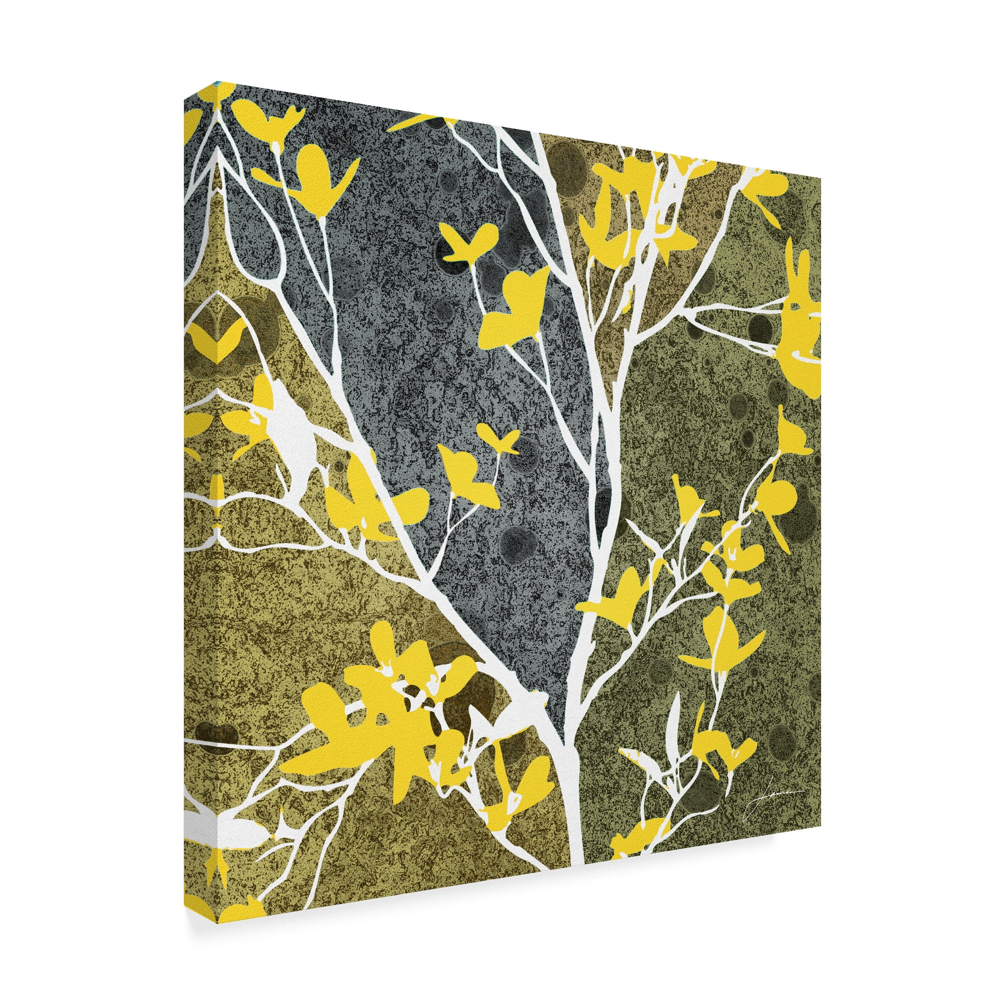 Trademark Fine Art 'Moon Flowers I' Canvas Art by James Burghardt