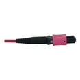thumbnail image 4 of Eaton Tripp Lite Series 40/100/400G Multimode 50/125 OM4 Fiber Optic Cable (3x8F MTP/MPO-PC F/F), LSZH, Magenta, 45 m (147.6 ft.) - Network cable - MTP/MPO-12 multi-mode (F) breakout to MTP/MPO-24 multi-mode (F) breakout - 45 m - 0.2 in - fiber optic - 50 / 125 micron - OM4 - OFNR - halogen-free - magenta, 4 of 5