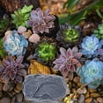 thumbnail image 2 of Shisuyan Fake Stone Keys Hider Fake Stone Key Security Safe Box Simulation Stone Key Holder Key Hider Stone, 2 of 9