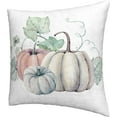 thumbnail image 2 of Pillow Covers Pumpkin Autumn Fall Set of 2 Pillowcases Square Cushion Cover Throw Pillows Case Decorative for Sofa Couch Home Bedroom Chair Car Indoor Outdoor 18x18 Inches, 2 of 6