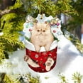 thumbnail image 2 of KCEHTA Christmas Cat Ornaments, Cat Ornaments for Christmas Tree, Cute Cat Christmas Tree Ornaments, Xmas Tree Hanging Decorations for Cat Lovers, 2 of 7