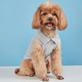 thumbnail image 4 of Summer Dog Polo Shirt for Small Medium Dogs, Lightweight Breathable Pet Clothes with Collar, Soft Cotton Blend Puppy Tee for Daily Walks & Warm Weather(Grey,XL), 4 of 7