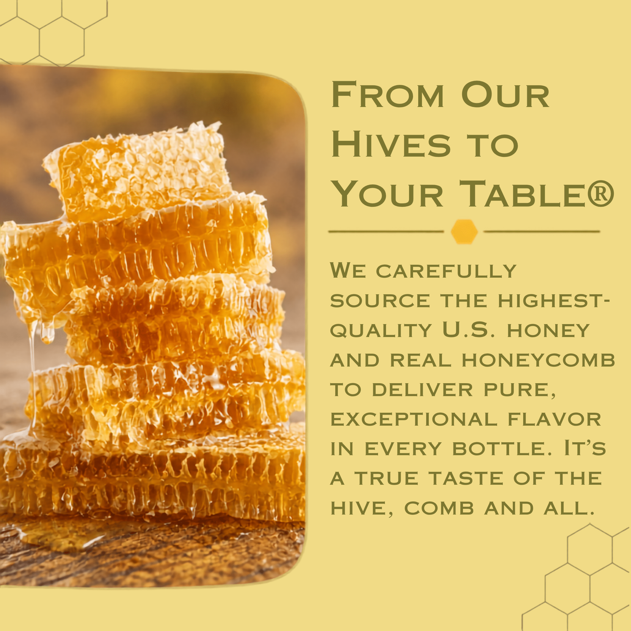 Jamies Hive to Table 100% Raw Honey & Comb, Premium, Pure Honey, 16 oz Bottle