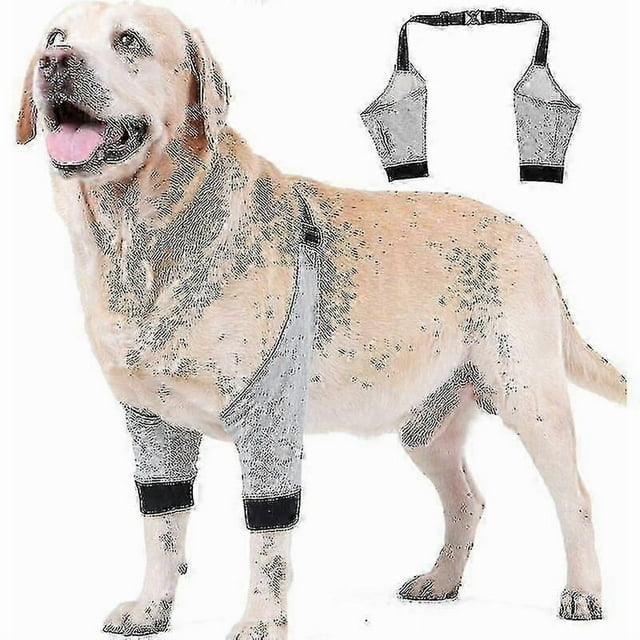 Dog Elbow Protector Adjustable Front Leg Sleeve Pet Operation Injury Recovery Protective Brace 1 Pair