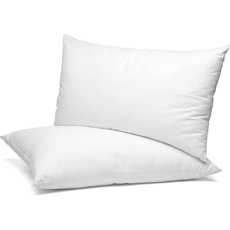 APSMILE Goose Down Feather Throw Pillow Inserts 2 Pack - 16x16 Euro Square Decorative Pillow Inserts for Bed, Sofa, Couch, White