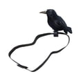 thumbnail image 4 of GUOOL Halloween Crow Realistic Decorative Fake Raven for Party Fancy Costumes Home Style B, 4 of 9