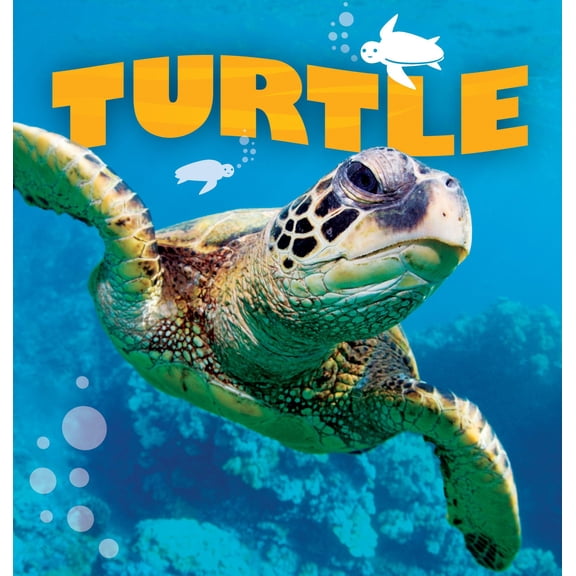 Wild Planet: Turtle (Hardcover)