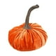 thumbnail image 2 of Oioii 1PC Velvet Pumpkins Rustic Harvest Decoration, Soft Stuffed Artificial Pumpkins Home Decoration for Autumn Table Kitchen Centerpiece Fall Harvest Halloween Thanksgiving Decor, 2 of 2