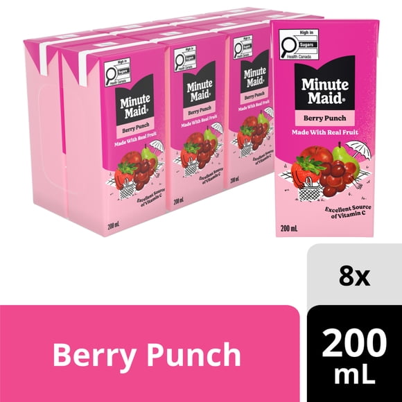Minute Maid Berry Punch Cartons, 200 mL, 10 Pack