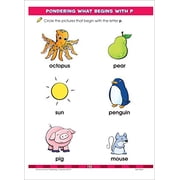 School Zone Big Preschool Workbook (Revised edition) (Paperback)