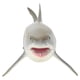 thumbnail image 2 of Modelo educativo, modelo de tiburones simulación de tiburones marinos modelo figura de tiburones meticulosamente diseñada, 2 of 8