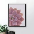 thumbnail image 2 of PixonSign Framed Wall Art Print Echeverria Pink Succulent Half Nature Plants Photography Realism Modern CloseUp Relax/Calm Multicolor Warm for Living Room, Bedroom, Office - 12"x16" BLACK, 2 of 6