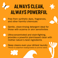 thumbnail image 3 of Molly's Suds Original Laundry Detergent Powder | Gentle for Sensitive Skin | Earth-Derived Ingredients, Stain Fighting | 120 Loads (Citrus Grove), 3 of 8