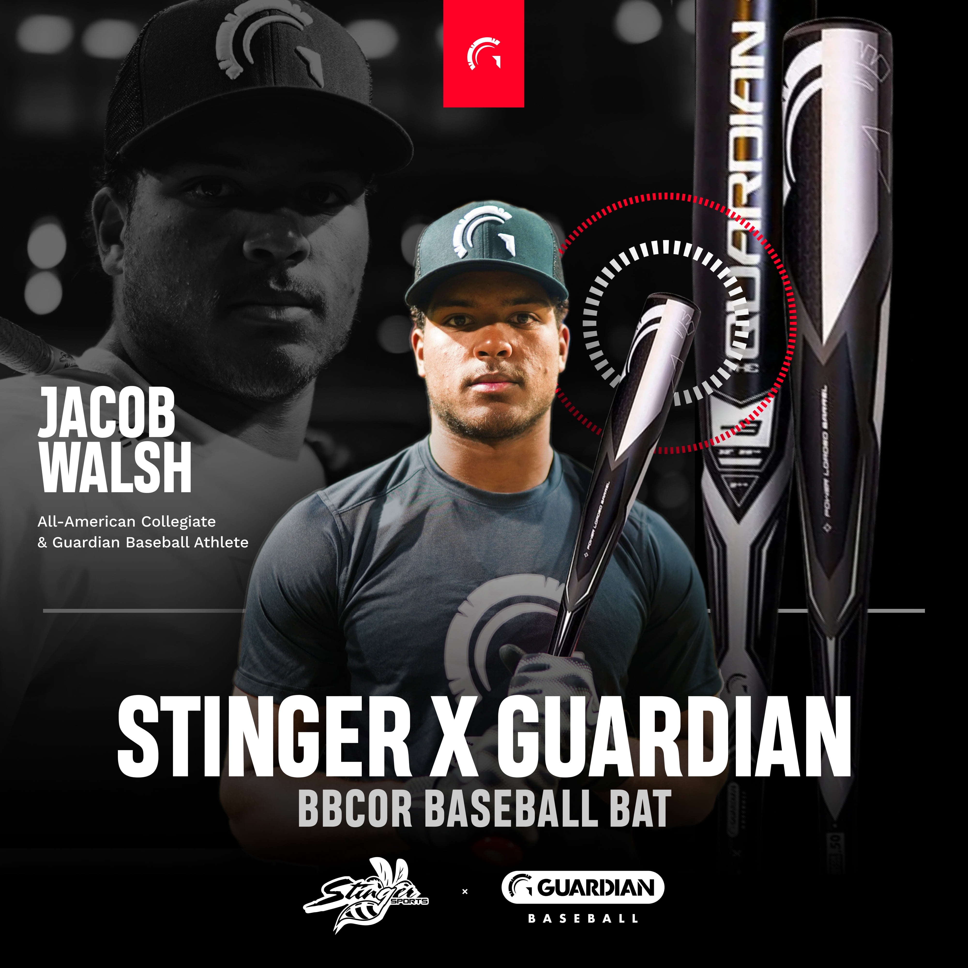 Guardian Baseball X Stinger The Guardian BBCOR 2 5/8" Aluminum Baseball Bat Drop -3