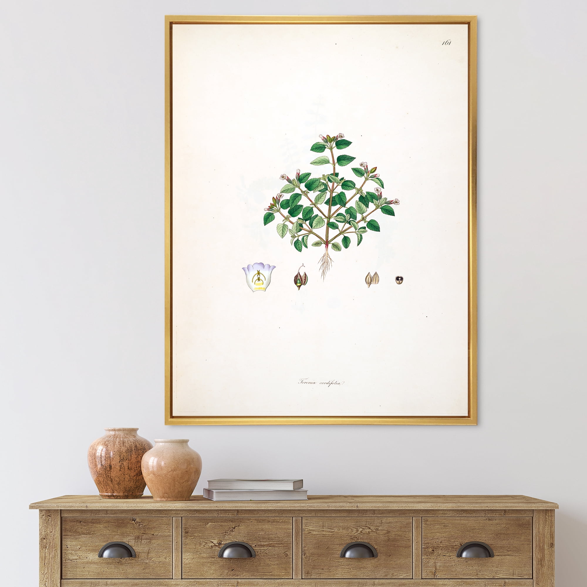Designart 'Ancient Plant Life XIII' Farmhouse Framed Canvas Wall Art Print