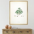 thumbnail image 2 of Designart 'Ancient Plant Life XIII' Farmhouse Framed Canvas Wall Art Print, 2 of 5