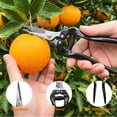 thumbnail image 4 of KIMHY Garden Tools Set 5, 8.3" Pruning Shears, 7.48" Garden Share, Gardening scissors Clipper, Sharp Blade Saws for Branches, Plant, Flower, Fruit, 4 of 8