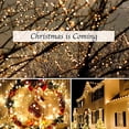 thumbnail image 4 of Cadena de luces, blanco cálido, 80 LED (10 m), alimentación USB, decoración interior y exterior, transformador de bajo voltaje, extensible, 4 of 4