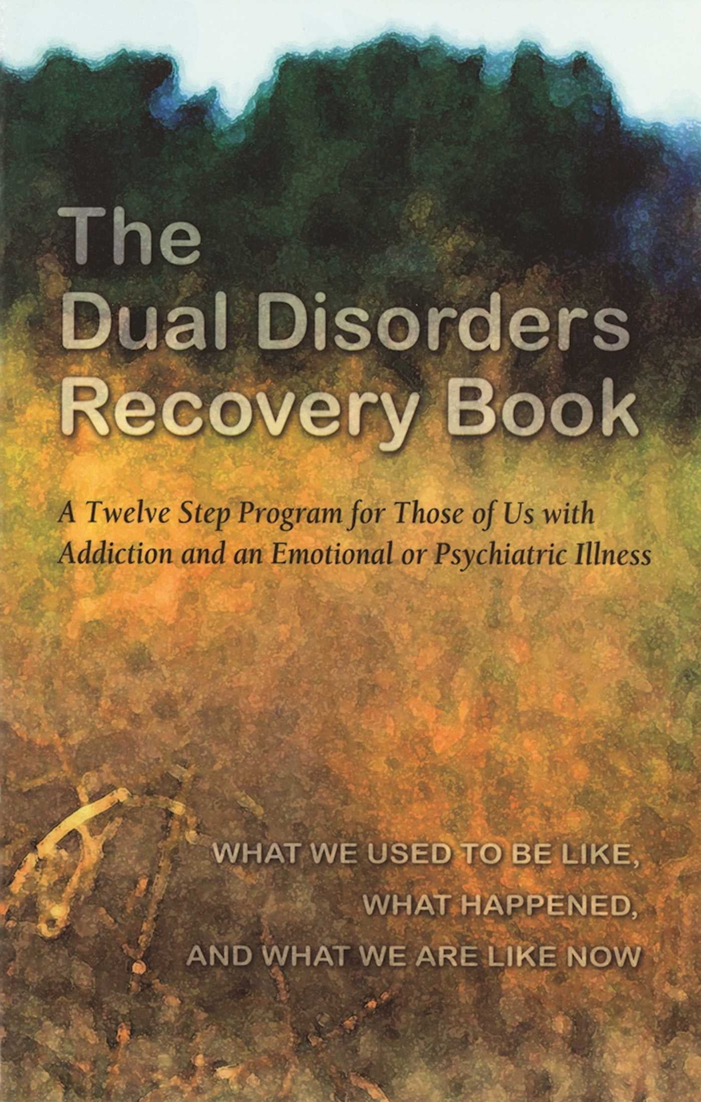 The Dual Disorders Recovery Book : A Twelve Step Program for Those of Us with Addiction and an Emotional or Psychiatric Illness