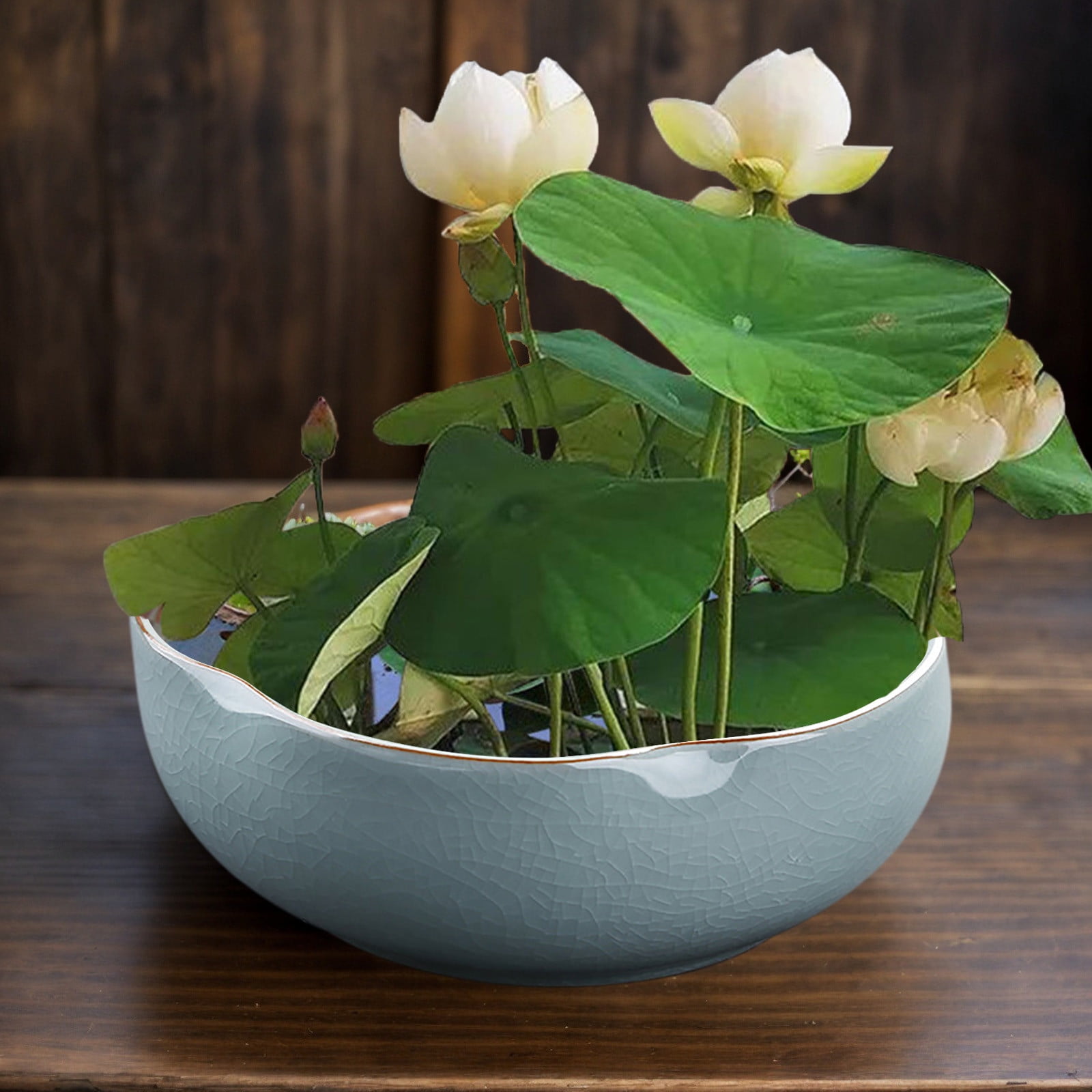 Ceramic Bowl Planter for Indoor Hydroponic Succulent Gardening Decorative Flower Pot