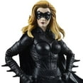 thumbnail image 3 of DC Multiverse Batman & Robin Movie Batgirl - Mr. Freeze BAF, 3 of 13