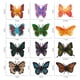 thumbnail image 3 of 6PCS de mariposas reales de suaves para niños de cumpleaños de Navidad Modelo educativo de , Color de lámpara color cro CUTICAT Niños Insectos Animales Juguetes, 3 of 8