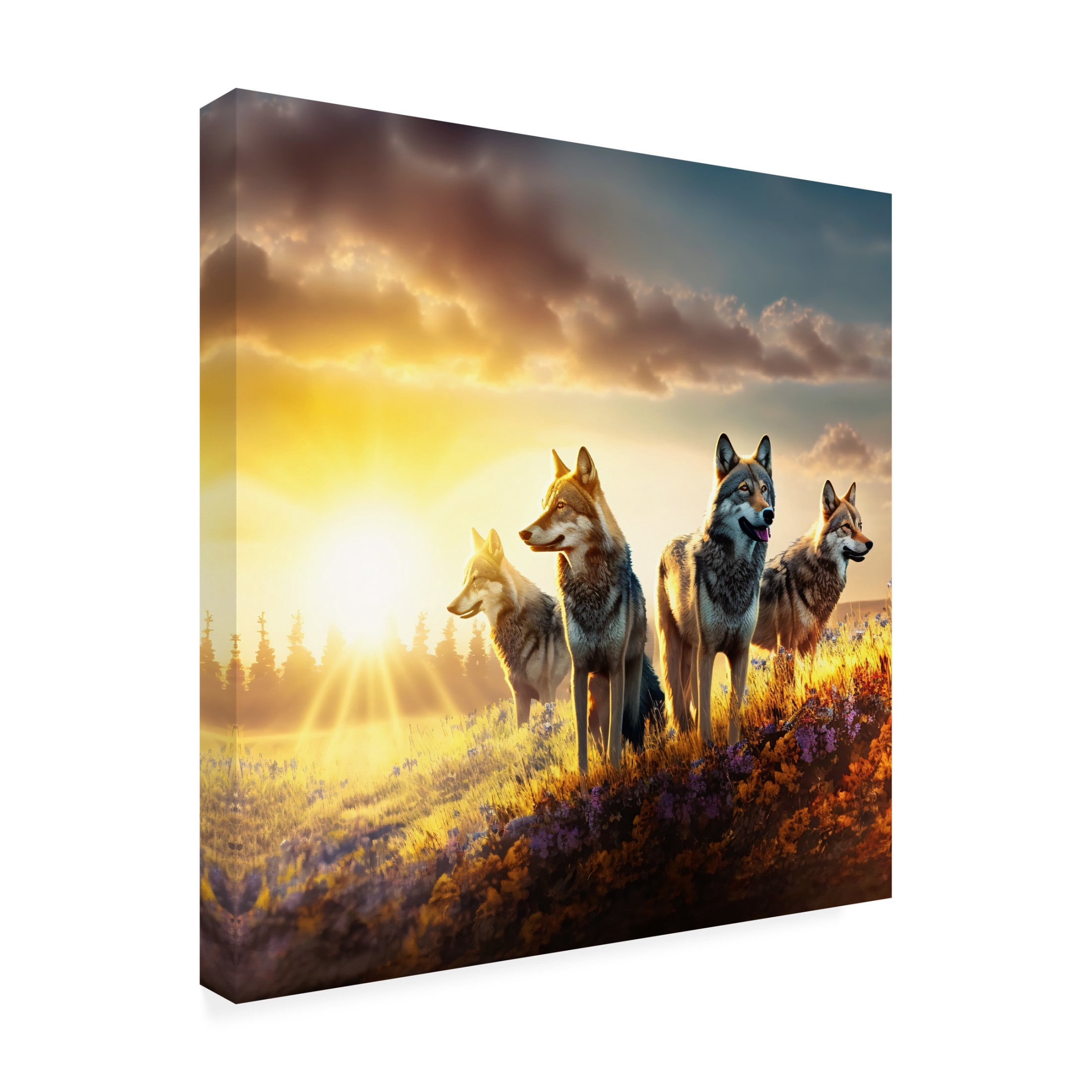 Canvas Wall Art - Ray Heere 'North American Wildlife 48' Wall Art for Living Room, Bedroom, or Office Décor by Trademark Fine Art - 24 x 24 Inches
