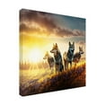 thumbnail image 4 of Canvas Wall Art - Ray Heere 'North American Wildlife 48' Wall Art for Living Room, Bedroom, or Office Décor by Trademark Fine Art - 14 x 14 Inches, 4 of 4