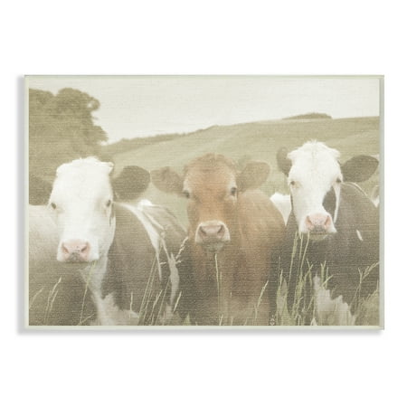 Cow Decor - The Stupell Home Decor Collection Happy Neighbors Cows in the Field Wall Plaque Art, 10 x 0.5 x 15