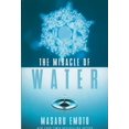thumbnail image 1 of Le Miracle de l'Eau, 1 of 1