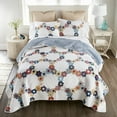 thumbnail image 6 of Donna Sharp Prairie 3PC Cotton Reversible Queen Quilt Set, 6 of 9