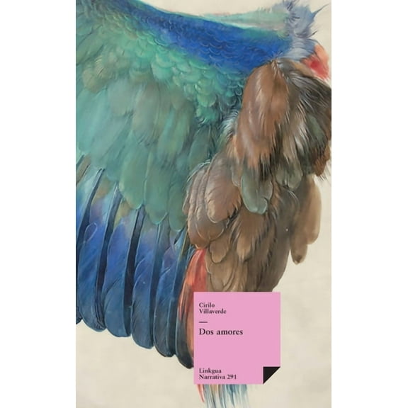 Narrativa Dos amores, Book 291, (Hardcover)