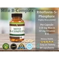 thumbnail image 6 of Mito B Complex - Vegan Mito B Complex with 5-MTHF and Adeno B12 - 60 Servings - by Suzy Cohen, RPh, 6 of 9