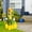 Nre--C, variant on Porch Decor Goose Outfits, Sunflower Porch Goose Outfits Clothes for Porch Goose Statue Fit 23鈥?Geese Lawn Yard Garden Party Decorate