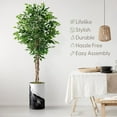 thumbnail image 3 of Artificial Tree in Contemporary Planter, Fake Ficus Silk Tree for Indoor and Outdoor Home Decoration - 66" Overall Tall (Plant Pot Plus Tree), 3 of 5