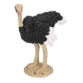 thumbnail image 2 of Modelo de avestruz animal, accesorio de modelo de avestruz textura delicada para accesorios educativos para nios para decoración del hogar Unbranded 2013210124112, 2 of 8