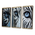 thumbnail image 3 of Designart "Striking Patterns on a Zebra II" Animals Framed Wall Art Set Of 3 - White Zebra Frame Canvas Set For Living Room Decor, 3 of 7