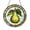 Stained Glass 5.9 Inch, variant on Pear Stained Glass Window Hanging, Green Fruit Suncatcher Decor, Cheerful Kitchen Gift