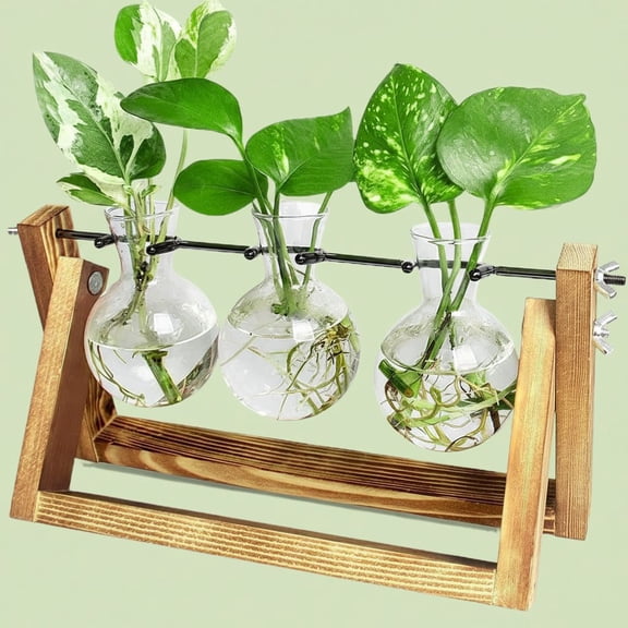 Propagation Station, Plants Terrarium, Plants Lover Gifts for Women,Plant Cutting Holder Home décor,Gifts for Women,House Warming New Home-3 Bulbs-C Type