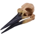 thumbnail image 1 of Abbracc Artificial Realistic Animal Model Head Skeleton f/ Club Pub Decoration 9, 1 of 9